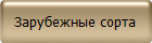 Зарубежные сорта